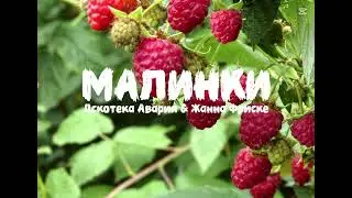 Дискотека Авария и Жанна Фриске - Малинки @VEVOmusic-h6i 
