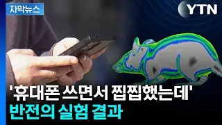 [자막뉴스] 발암 우려 있던 '휴대폰 전자파'…한일 연구진, 예상 밖 발표 / YTN