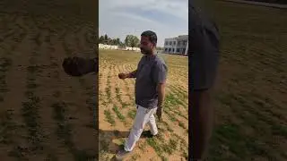 Complete Project Shcool Grass Lown Plam Plawer Plants All Garden Devlopers Shree Balram Nursery Bhuj