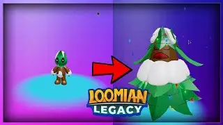 HOW TO EVOLVE CHRISTMAS CRAYTAL INTO FESTIFIR IN LOOMIAN LEGACY!