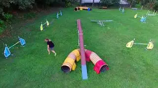 Online class - Advanced Agility Games