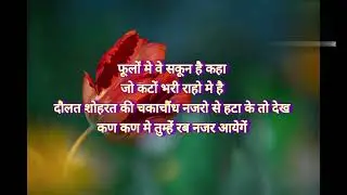 SMB  / mohabbat ki shayari/LOVE best shayari/peyar best hindi shayari  Status shayari ringtone sha
