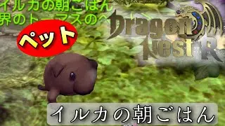 実況【ドラネスR】Part2 アイテムを自動で拾うペット！キャデラック到着！【ドラゴンネストR】