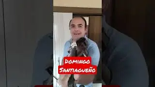 Domingo Santiague&ntilde;o. Los Carabajal. Tutorial de Viol&iacute;n #shorts #violin #tutorial
