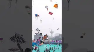Fly High at the International Kite Festival 2025 | January 11-14 | Gujarat Tourism