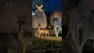#virtual wildlife safari is located in Kondapur #beast #beastmode2