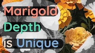 Marigold depth is unique