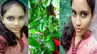 ಇವಳ ಮಾತು ಕೇಳಿ‌ 😡ತುಂಬಾ ಮಳೆ.🌧️||kannada vlog