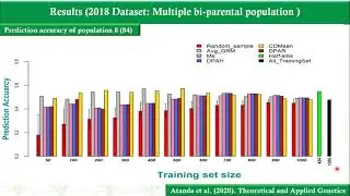 Methodologies for improving the efficiency of genomic selection at CIMMTY maize breeding program