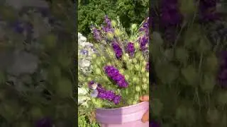 Harvesting flowers for a July wedding #shorts