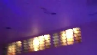Mega Go Flood Bars in action