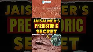 🦖 200-Million-Year-Old Crocodile-Like Fossil Found in India&rsquo;s Thar Desert!