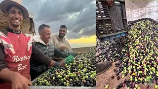 اخر فيديو لي ب سوق الزيتون العطاوية قلعة السراغنة