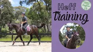 HEFF for sale - training!