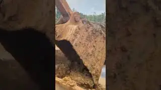 💎 Huge Ceylon Gem Mine in Action 🇱🇰 | Machines & Soil Washing for Rare Sapphires ⛏️✨