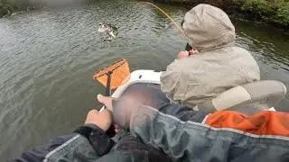 Fall bass fishing tournament! High rock lake!!!