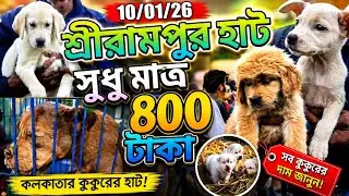 শ্রীরামপুর হাট ll Shocking Truth About Kolkata's Dog Market Price 🐕 Il Dog Market in Kolkata