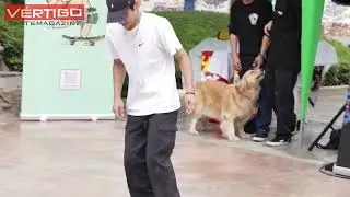 RODRIGO MORENO vs FERNANDO ROMERO