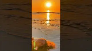 Capelli nel mare !!! &hearts;️😍✨🤍 #danza #ballerina #giadafontana #estate2025