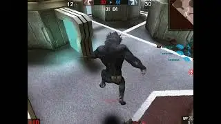 WOLFTEAM ARABİC COMBO SHOW