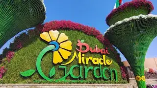 Dubai Miracle Garden #dubai #travelvlog #traveldiaries #dubaiwinter #telugutraveller 