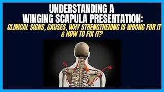 Winging Scapula Clinical Presentations & Why It Isn&rsquo;t A Serratus Anterior Problem.
