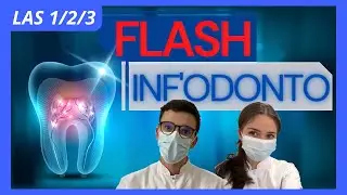 [JTut' - LAS 1/2/3] Flash Inf&rsquo;Odonto - Ep 2 : Odontog&eacute;n&egrave;se