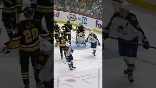 Player's stick, Goalie Glove 🏒🧤