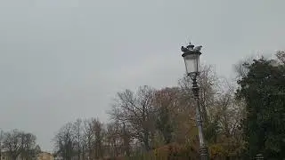 12.12.2023 Озеро в Parco Ducale, Parma