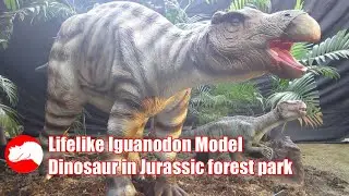 Lifelike Iguanodon Model at Jurassic Forest Park