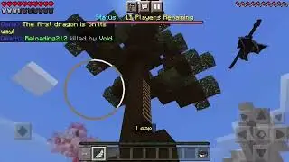Mineplex - Dragons