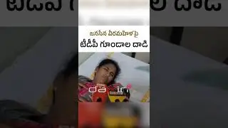జనసేన వీరమహిళ పై టీడీపీ గుండాల దాడి | Janasena woman attacked by TDP goons #daxintv
