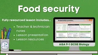 Food security Lesson video preview