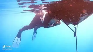 Tanya line descent