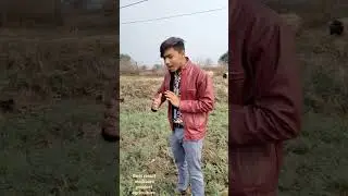 MODICARE agriculture products active 80 gold and activmax ka best result sonpuri kawardha #shorts