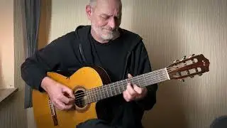 Billie Eilish Cover&ndash; WILDFLOWER - Ambient Acoustic Guitar Music for Relaxing