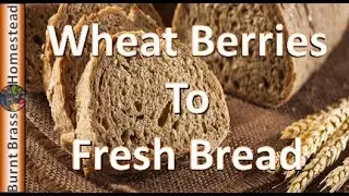 Homemade Bread From Freshly Ground Wheat Berries