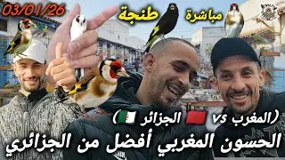 #سوق #الحسون شمال المغرب 😱 أرخص الأثمنة وعلاش المقنين المغربي مطلوب بزاف في الجزائر 🇩🇿🇲🇦
