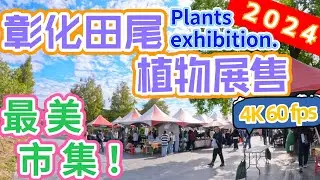 ［2024彰化田尾植物展售］最美市集光線和植物都很美逛起來很舒服#taiwan#彰化#田尾#植物#多肉植物#塊根植物#adenium#caudex#desertrose#沙漠玫瑰#plants#龍舌蘭