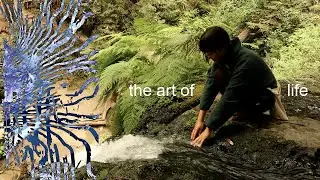 i am the beetle, you are the human