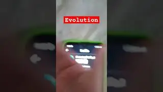 Evolution Castle Make and Play
