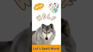 WOLF Vocabulary Spelling_Wolf Word Spelling for Kids#spelling#words#spellingword#wolf #firstword#kid
