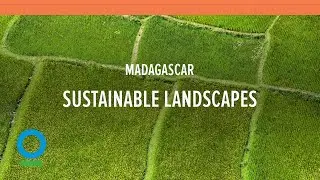 Sustainable Landscapes in Eastern Madagascar