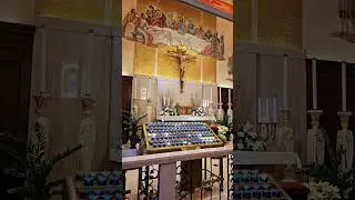 #fecat&oacute;lica #se&ntilde;orjes&uacute;s #sanar #shorts