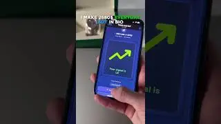 Pocket Option AI Bot: 97% Win Rate? $500 REAL 24-Hour Test (Zero Settings!)