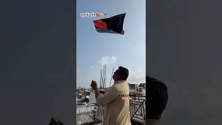 Beautiful Day #viralvideo #kiteflying #kite #kitelover #shorts