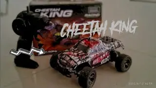 Cheetah King 1/18 scale Unboxing | Rc Cheetah King Buggy | toy grade