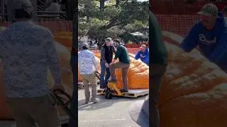 Fond Du Lac FallToberFest. Some clips of the day. #giantfruits #gardening #fall #pumpkin