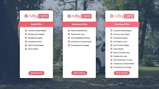 RubyCare Vehicle Service Contracts.