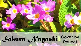 [Poucet] Sakura Nagashi {French subs}